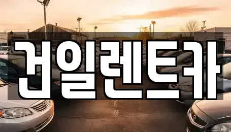 경남 김해시 동상동 렌트카 전문 건일렌트카