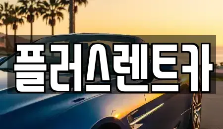경남 김해시 동상동 렌트카 전문 플러스렌트카