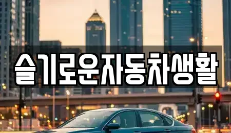 경남 김해시 동상동 중고차매매 전문 슬기로운자동차생활