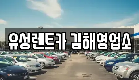 경남 김해시 렌트카 전문 유성렌트카 김해영업소