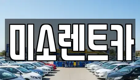 경남 김해시 부원동 렌트카 전문 미소렌트카
