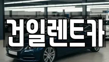 경남 김해시 장기렌트카 전문 건일렌트카