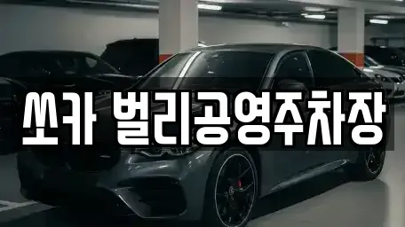 경남 사천시 향촌동 렌트카 전문 쏘카 벌리공영주차장