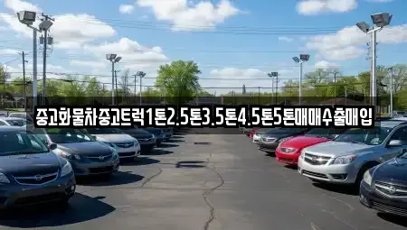 경남 사천시 향촌동 중고차 전문 중고화물차중고트럭1톤2.5톤3.5톤4.5톤5톤매매수출매입
