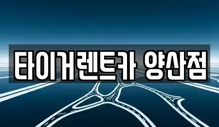 경남 양산시 호계동 렌트카 전문 타이거렌트카 양산점