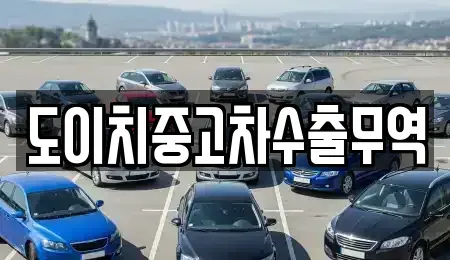 경남 양산시 호계동 중고차매매 전문 도이치중고차수출무역