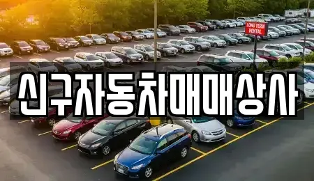 경남 양산시 호계동 중고차매매 전문 신구자동차매매상사