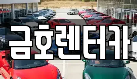 경남 진주시 정촌면 렌트카 전문 금호렌터카