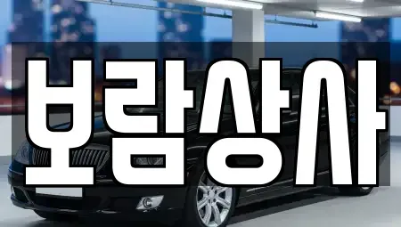 경남 진주시 정촌면 중고차매매 전문 보람상사