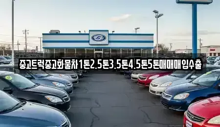 경남 진주시 정촌면 중고차매입 전문 중고트럭중고화물차1톤2.5톤3.5톤4.5톤5톤매매매입수출