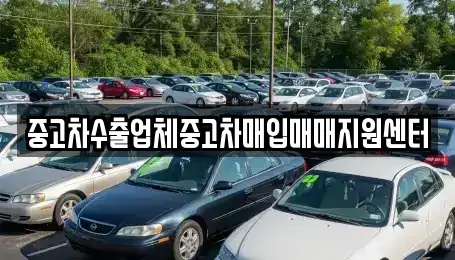 경남 진주시 하촌동 중고차매입 전문 중고차수출업체중고차매입매매지원센터