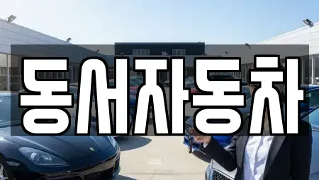경남 창원시 마산합포구 남성동 중고차 전문 동서자동차
