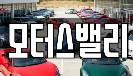 경남 창원시 마산합포구 남성동 중고차 전문 모터스밸리
