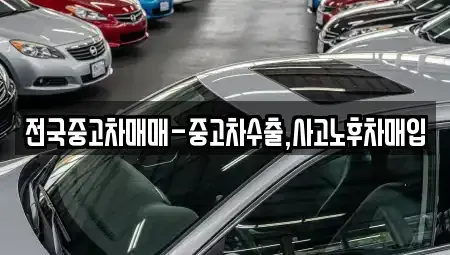 경남 창원시 마산합포구 남성동 중고차매입 전문 전국중고차매매-중고차수출,사고노후차매입