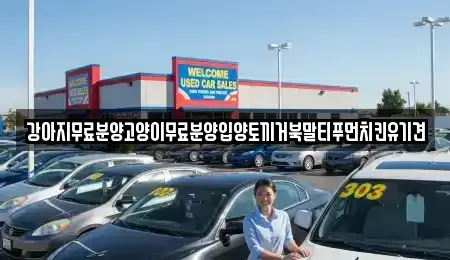경남 창원시 마산합포구 유록동 중고차매입 전문 강아지무료분양고양이무료분양입양토끼거북말티푸먼치킨유기견