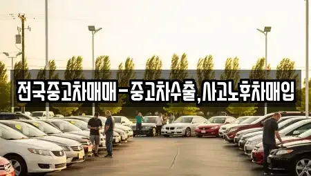 경남 창원시 마산합포구 유록동 중고차매입 전문 전국중고차매매-중고차수출,사고노후차매입
