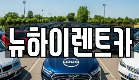 경남 창원시 성산구 사파정동 렌트카 전문 뉴하이렌트카
