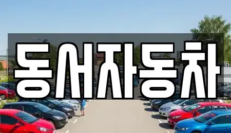 경남 창원시 성산구 사파정동 중고차 전문 동서자동차