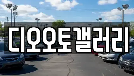 경남 창원시 의창구 동읍 중고차매매 전문 디오오토갤러리