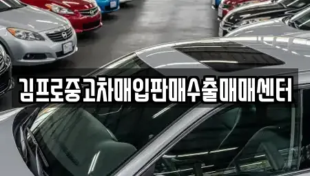 경남 창원시 의창구 동읍 중고차매입 전문 김프로중고차매입판매수출매매센터