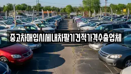 경남 창원시 의창구 동읍 중고차매입 전문 중고차매입시세내차팔기견적가격수출업체