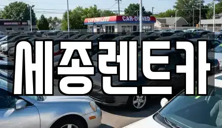 경남 창원시 진해구 소사동 렌트카 전문 세종렌트카