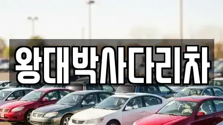 경남 창원시 진해구 소사동 중고차 전문 왕대박사다리차