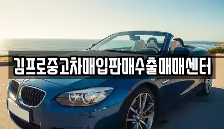 경남 통영시 도남동 중고차매입 전문 김프로중고차매입판매수출매매센터