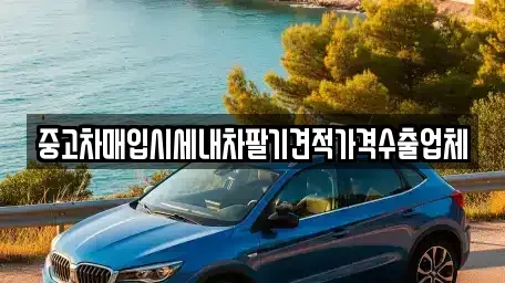 경남 하동군 적량면 중고차매입 전문 중고차매입시세내차팔기견적가격수출업체