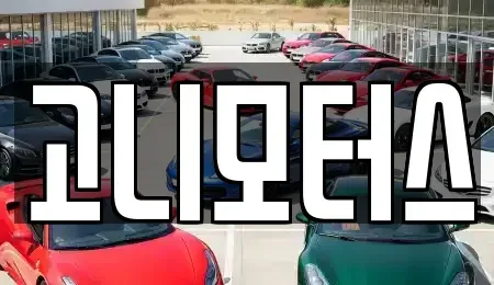 경북 경산시 갑제동 중고차 전문 고니모터스