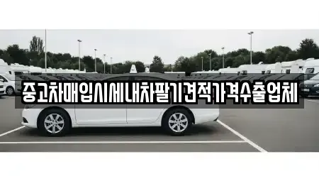 경북 경주시 북부동 중고차매입 전문 중고차매입시세내차팔기견적가격수출업체