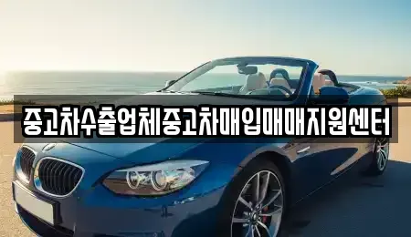 경북 경주시 북부동 중고차매입 전문 중고차수출업체중고차매입매매지원센터