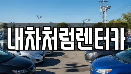 경북 고령군 렌트카 전문 내차처럼렌터카