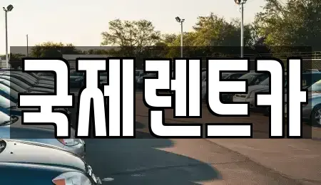경북 구미시 봉곡동 렌트카 전문 국제렌트카