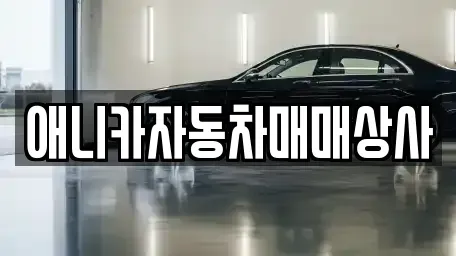 경북 구미시 봉곡동 중고차매매 전문 애니카자동차매매상사