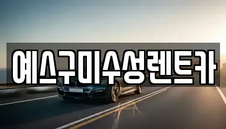 경북 구미시 시미동 렌트카 전문 예스구미수성렌트카