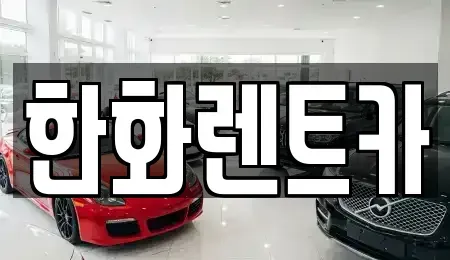 경북 구미시 시미동 렌트카 전문 한화렌트카
