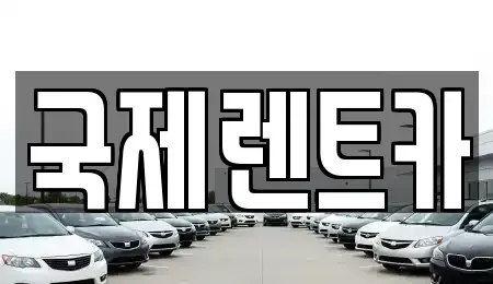 경북 구미시 형곡동 렌트카 전문 국제렌트카
