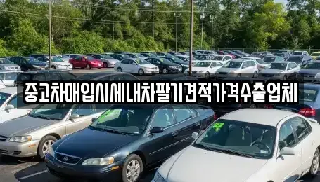 경북 봉화군 봉화읍 단기렌트카,중고차매입,중고차매매,중고차,렌트카,장기렌트카