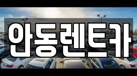 경북 안동시 광석동 렌트카 전문 안동렌트카
