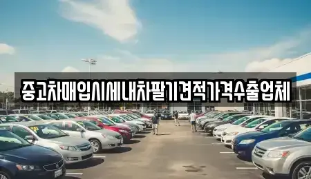 경북 안동시 금곡동 중고차 전문 중고차매입시세내차팔기견적가격수출업체