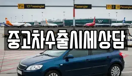 경북 안동시 금곡동 중고차 전문 중고차수출시세상담