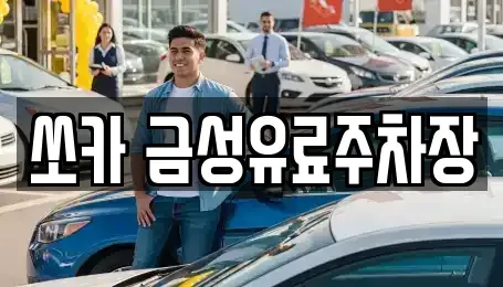 경북 안동시 북문동 렌트카 전문 쏘카 금성유료주차장