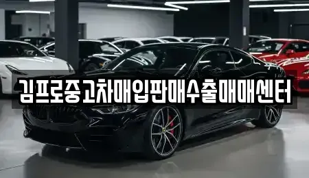 경북 안동시 북문동 중고차매입 전문 김프로중고차매입판매수출매매센터