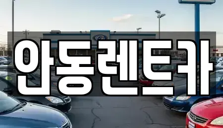 경북 안동시 평화동 렌트카 전문 안동렌트카