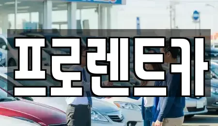 경북 안동시 평화동 렌트카 전문 프로렌트카