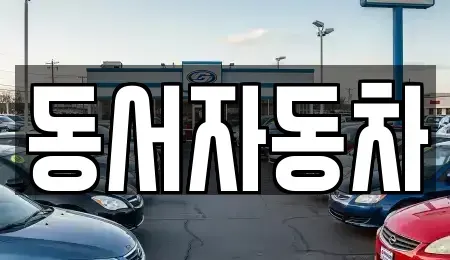 경북 영천시 대전동 중고차 전문 동서자동차