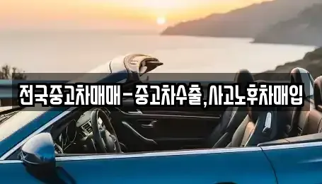경북 영천시 대전동 중고차 전문 전국중고차매매-중고차수출,사고노후차매입