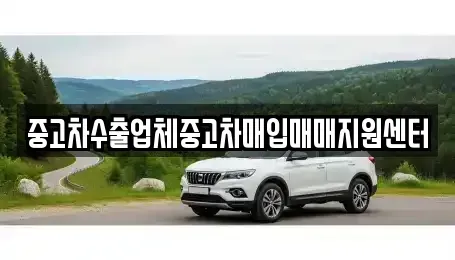 경북 영천시 망정동 중고차매매 전문 중고차수출업체중고차매입매매지원센터