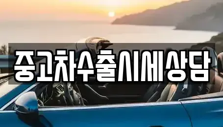 경북 영천시 언하동 중고차매매 전문 중고차수출시세상담